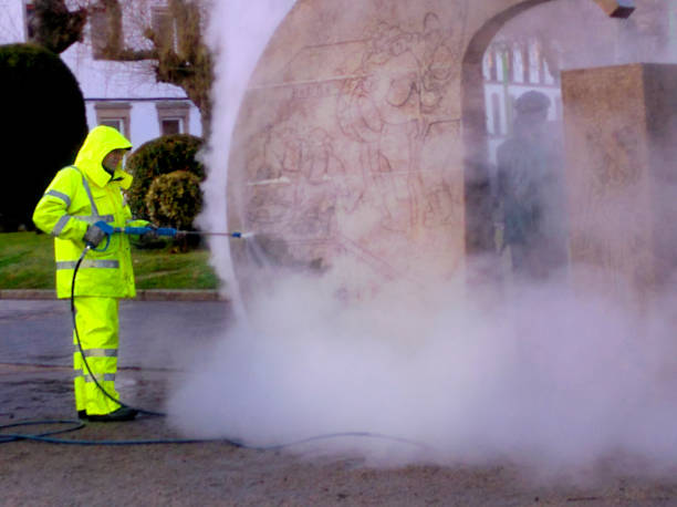 Best Roof Pressure Washing  in Ingram, TX